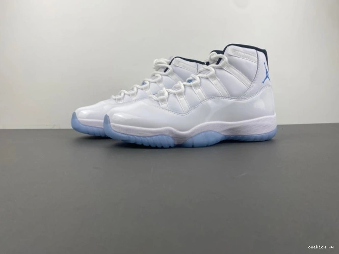 Chep Onekick 11 CT8012-104 Jordan Blue legend Air 0630